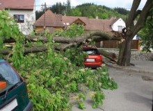 Kwikfynd Tree Cutting Services
upperstowport
